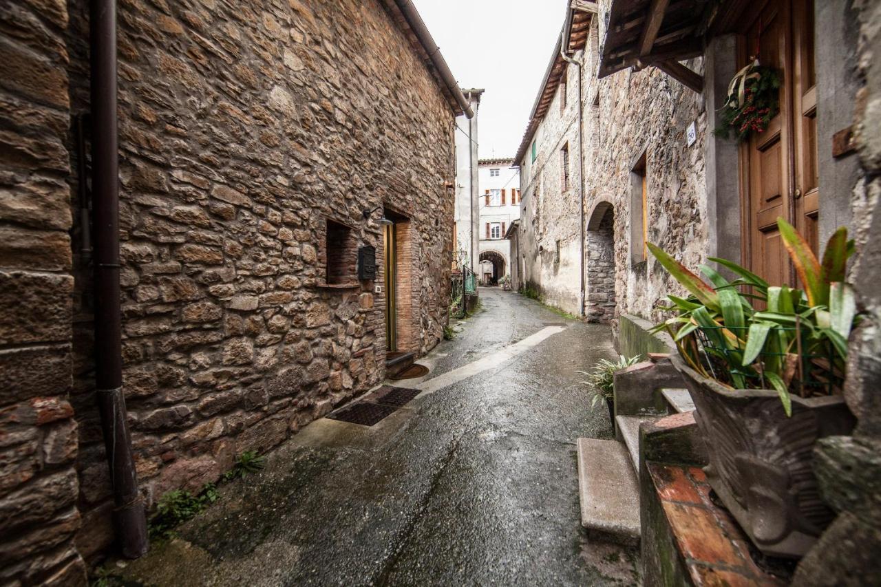 Accogliente Appartamento Sulle Colline Toscane Капанари Екстериор снимка